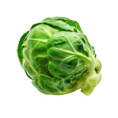Obraz premium Fresh green brussels sprout showcasing natural texture, isolated on white background