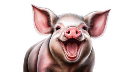 Happy Cartoon Pig Farm Art