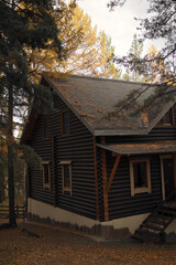 Wooden forest house with roof covered by dry pine needles and autumn leaves surrounded by trees in peaceful countryside area, calm atmosphere of fall season in nature.