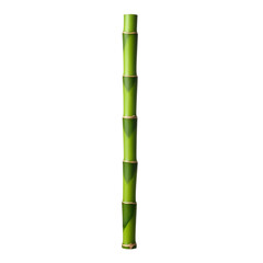 Thin bamboo stalk isolated on transparent background, clean plant element for jungle and forest concepts

