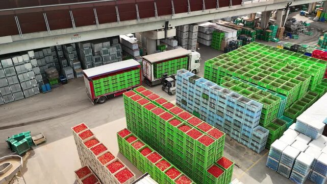 drone vista di casse di pomodori in stabilimento di lavorazione del pomodoro
