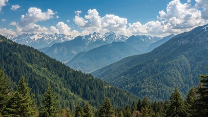 Fototapeta premium Evergreen forests cover the slopes ascending toward the snowy mountains