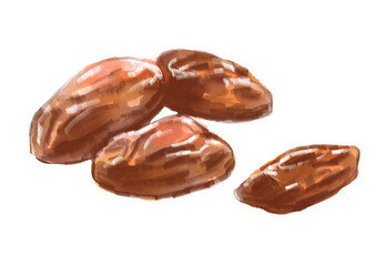 栄養豊富で美味しそうなドライデーツの手描き水彩イラスト