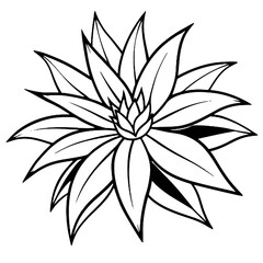 Stylized black and white illustration of a blooming flower with sharp petals