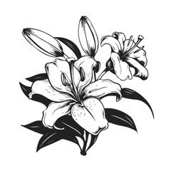 Elegant white lilies bloom with delicate petals and lush green leaves, rendered in a classic artistic style.