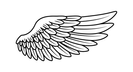 A detailed black and white illustration of a single feathered wing