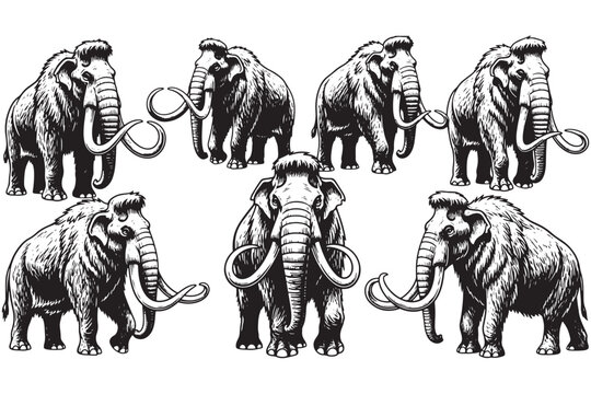Mammoth collection isolated on white background a captivating assembly of these extinct giants, perfect for historical, educational, or paleontological projects vector illustration