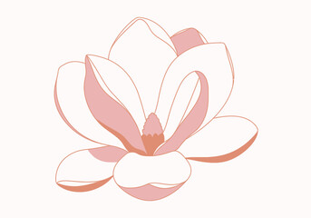 A delicate illustration of a blooming magnolia flower with soft pink and white petals.
