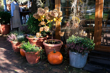Autumn garden display with pumpkins and vibrant plants by a cozy cafe