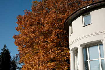 Colorful autumn leaves contrast with a modern white building