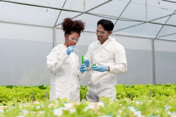 Two people in lab coats are working on a project in a greenhouse