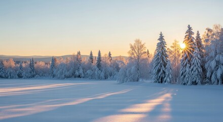 Golden hour sunbeams shine through snowcovered trees in a serene winter landscape