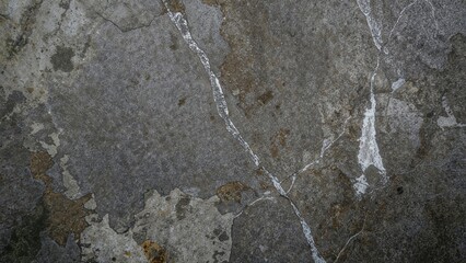 Textured surface resembling cracked patterns in shades of grey, silver, and yellowish-green. Abstract design evokes natural forms.