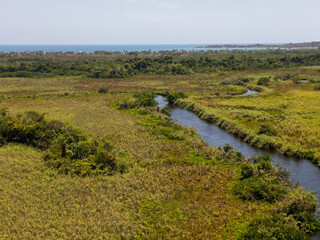Drone shot of the winding La Tovar river flowing through vibrant green marshlands towards the serene Pacific Ocean coastline in Nayarit, Mexico