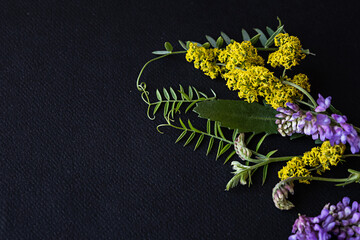 Bright purple and yellow wildflowers arranged on dark background create stunning visual contrast