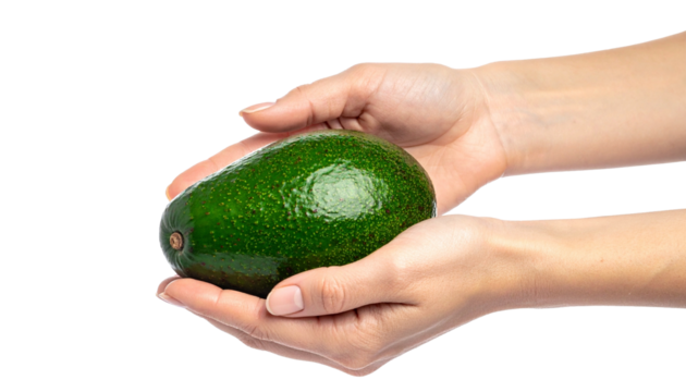 A pair of hands gently cradling a vibrant green avocado. The avocado appears fresh and ripe, ready for consumption. - Powered by Adobe