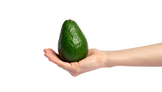 A hand holds a vibrant green avocado, showcasing freshness and healthy eating. The avocado appears ripe and ready to be enjoyed