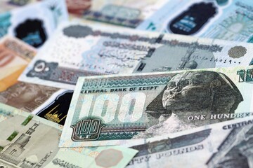 Egyptian pound currency money bills. The current banknotes lies on table in big amount close up