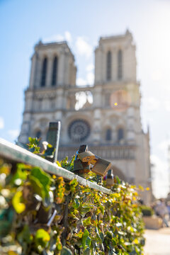 View of love locks clinging to a railing, a testament to enduring romance, with the Notre Dame Cathedral rising majestically behind, Paris, Ile-de-France, France.