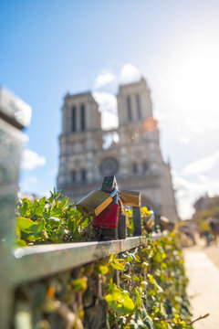 View of love locks, a symbol of enduring affection, cling to a railing adorned with vibrant green foliage, the iconic Notre Dame cathedral, Paris, Ile-de-France, France.