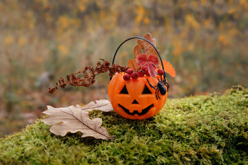 Pumpkin jack-o' lantern candy bucket on moss outdoor, autumn nature background. festive decor for Halloween holiday. symbol of Fall season.