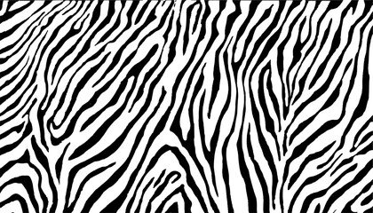 Black and white zebra abstract pattern white background. Zebra prints useful as a background. Seamless pattern with lines, vector background. Texture of zebra with dense lines. 