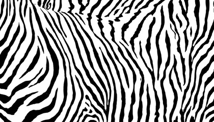 Black and white zebra abstract pattern white background. Zebra prints useful as a background. Seamless pattern with lines, vector background. Texture of zebra with dense lines. 