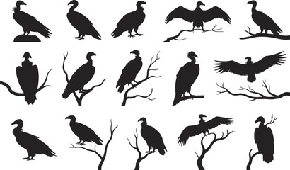 Vulture silhouettes perched on branches, bird poses, wildlife icons, nature observation graphics, flat vector illustration for stock and design use