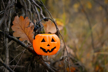 Pumpkin jack-o' lantern candy bucket on tree branch close up, autumn nature background. festive decor for Halloween holiday. symbol of Fall season.