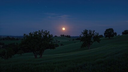 A Moonlit Evening Up In The Hills under a clear night sky with the full moon shining. A peaceful rural landscape with trees and rolling hills at night.