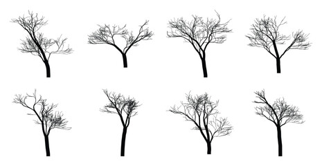 Obraz premium Black silhouette of eight bare trees on white background branch twig