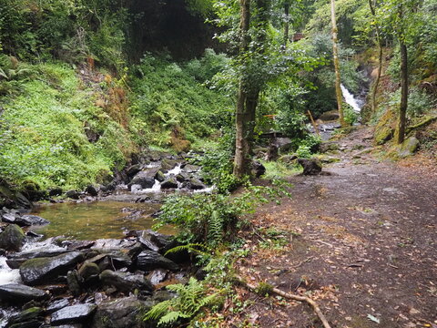ruta de los molinos de Mezonzo, bonita ruta de senderismo por los molinos harineros y batanes. impregnados en aromas de vegetaci&oacute;n silvestre, de los cantos de los p&aacute;jaros, La Coru&ntilde;a, Galicia, Espa&ntilde;a