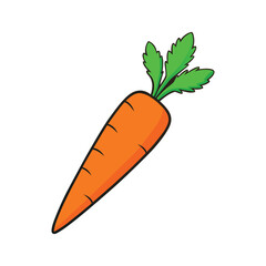 Realistic Carrot With Green Leaves Vector