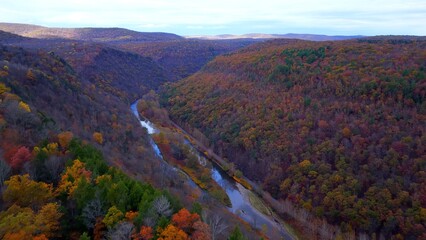 Fototapeta premium Pennsylvania Grand Canyon Mountains in Autumn Fall Colors, orange and reds with gentle flowing Pine creek in valley below with hiking, biking trail for exercise and relaxing in the nature outdoors