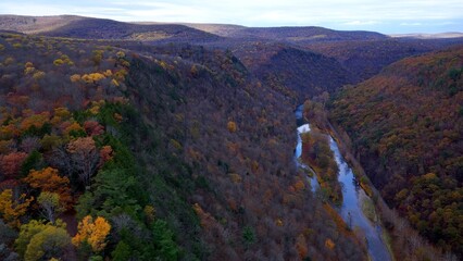 Pennsylvania Grand Canyon Mountains in Autumn Fall Colors, orange and reds with gentle flowing Pine...