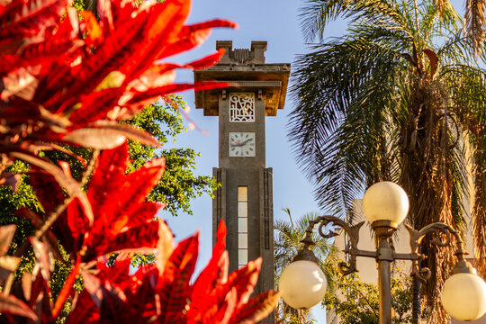 Detalhe da torre do rel&oacute;gio em estilo Art Deco na  Avenida Goi&aacute;s em Goi&acirc;nia, emoldurado por plantas de folhas vermelhas em um dia claro e ensolado.