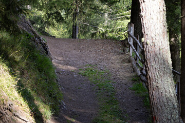 Obraz premium Waldweg