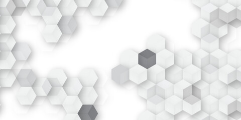 A subtle hexagon pattern background with interconnected shapes in soft gray and white. Simple abstract modern background White geometric hexagonal honeycomb shape texture background 3d copy space.	
