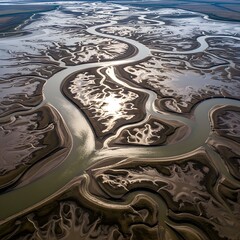 Meandering River Oxbow Aerial Abstract