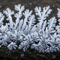 Dendritic Mineral Crystal Branching Macro