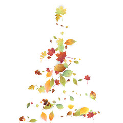 Leaves Falling Autumn Foliage Chaotic Leaf Flying