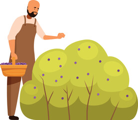 Farmer picking fresh berries from a bush, enjoying the harvest season in his orchard