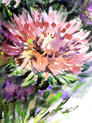 Abstract bright colored decorative background . Floral pattern handmade . Beautiful tender romantic bouquet of aster flowers , made in the technique of watercolors from nature.