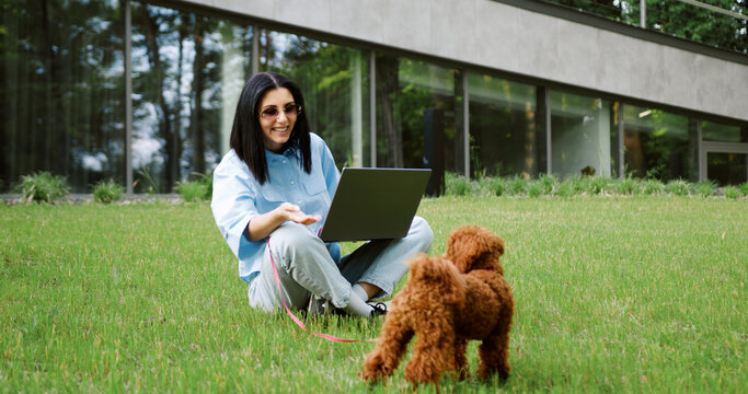 Young Caucasian woman freelancer or student, working on a laptop and watching e-learning webinars while walking her Maltipoo terrier dog in a park outdoors