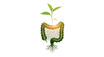 Illustration of healthy gut with plant growth isolated on transparent background