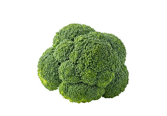Fresh Green Broccoli Head Isolated on White Background.