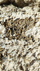 Rough eroded stone texture with natural cracks