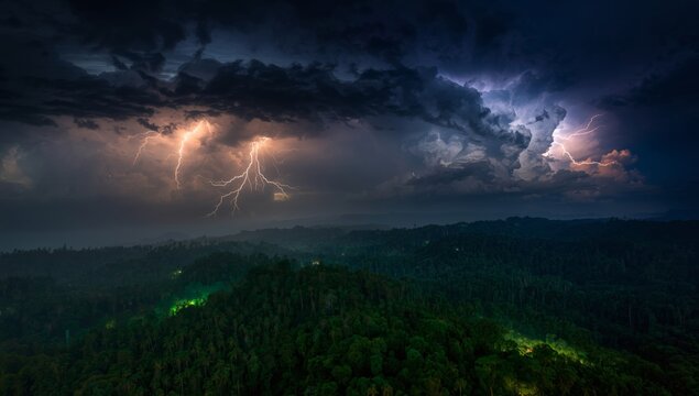 Dramatic lightning storm over a lush forest landscape at night time