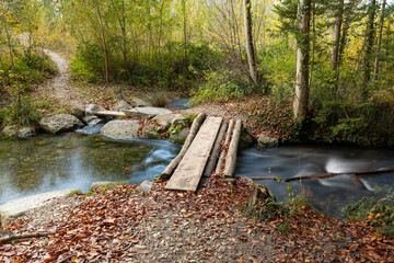 dorfbach gew&auml;sser wald natur idylle herbst br&uuml;cke wanderweg