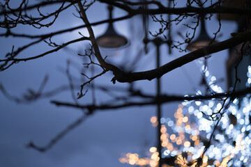 Festlich geschmückte Straßen der Stadt Fulda, Hessen, Deutschland im Jahr 2021 mit allerlei Lichtern, Beleuchtungen und Girlanden im Zusammenhang mit der Geburt Christi und der Weihnachtsfeier